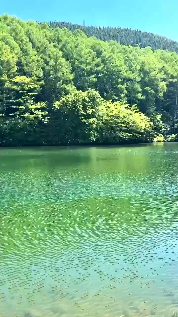 いずみ湖
